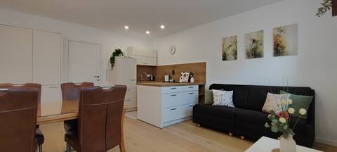 Popular Airbnb listing: Appartment in Vienna Donaustadt in Donaustadt