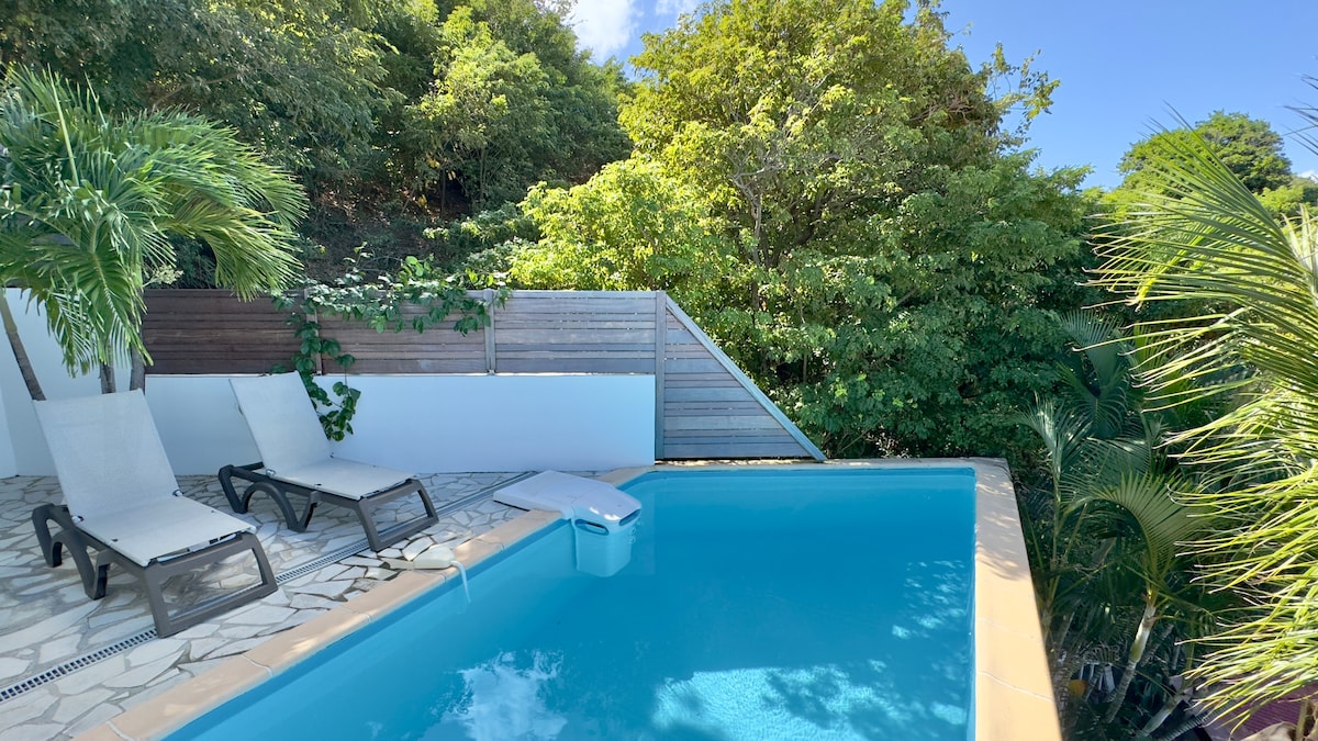 A private pool area is surrounded by lush greenery, featuring two lounge chairs positioned on a stone patio. The water in the pool reflects the clear blue sky, while the tropical plants add a vibrant touch to the serene environment.