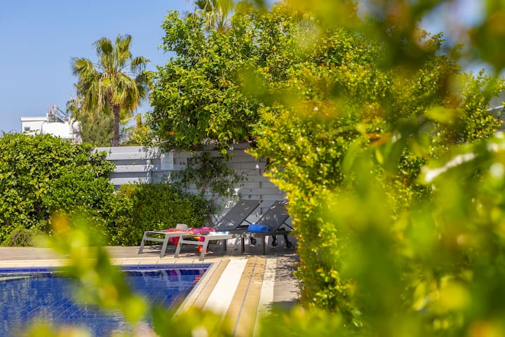 Demari Property Management & Services ltd managed Airbnb listing 2
