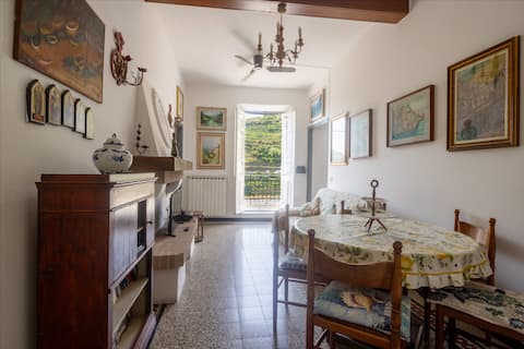 Proprietà Airbnb di successo: Cinque Terre | 360° Terrace | Air Conditioning a Riomaggiore