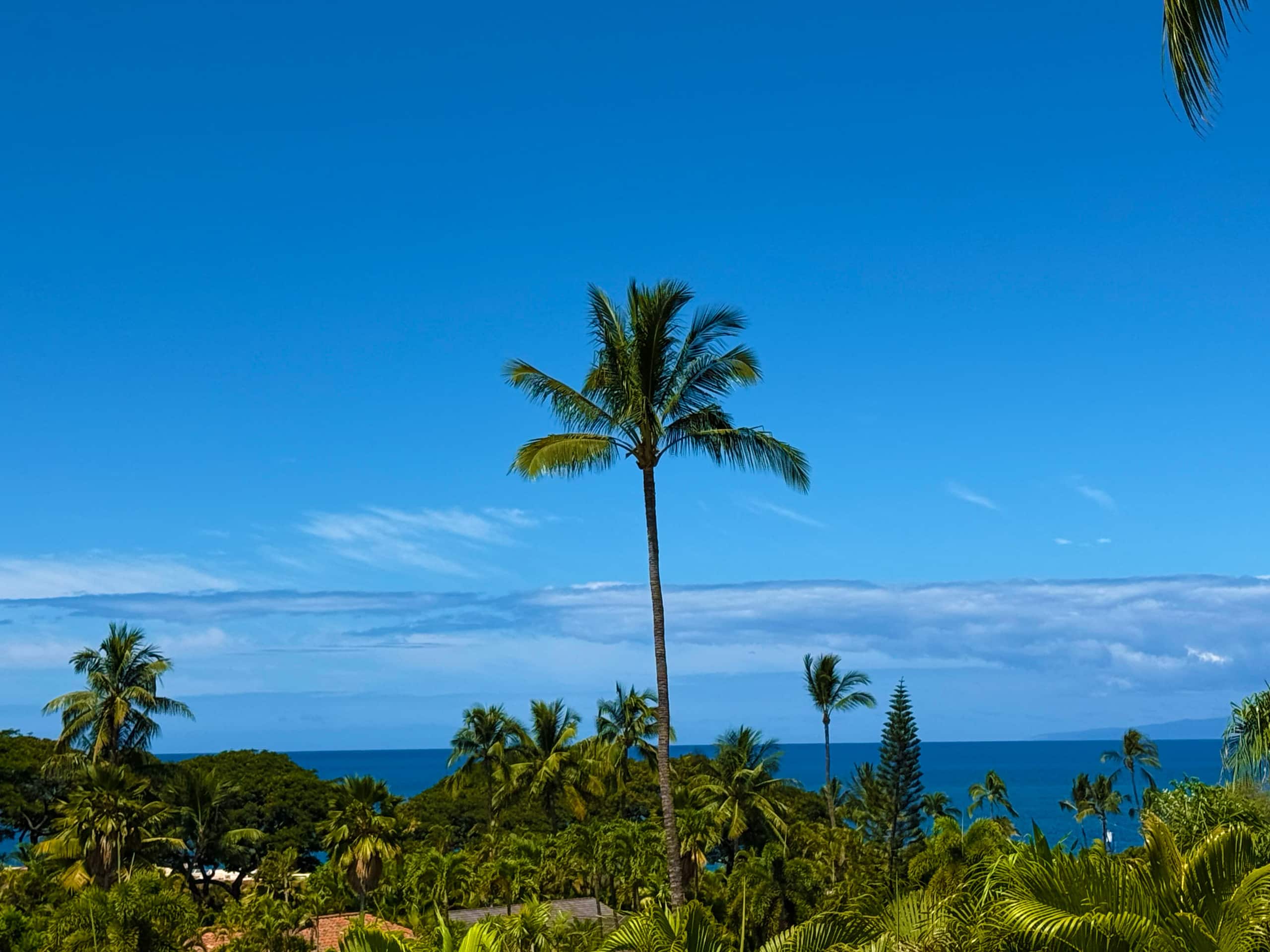 Chic Coastal Living in the Heart of Wailea - Image 35