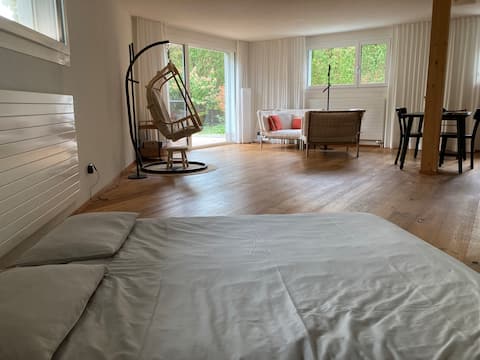Sunny apartment near Lucerne