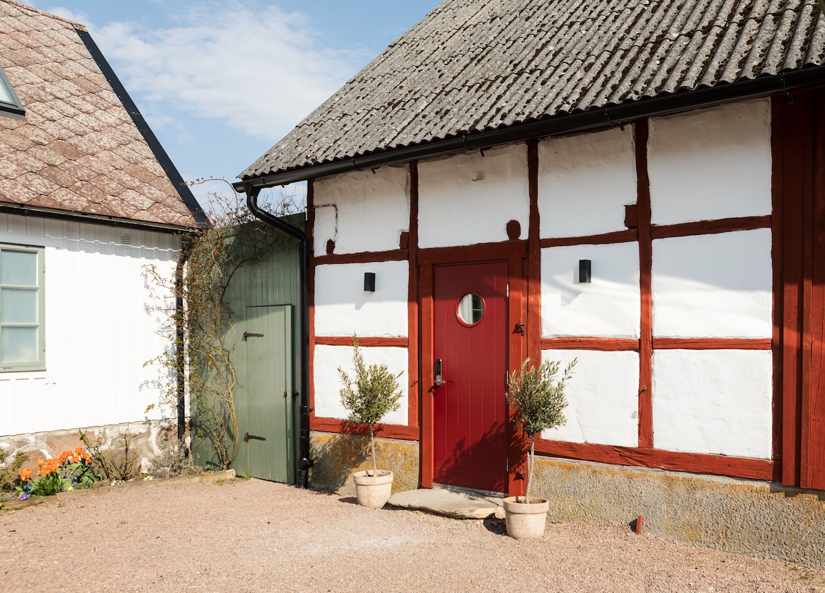 The entrance to a charming building showcases a red wooden door framed by white walls and exposed wooden beams. Potted plants sit on either side of the doorway, creating a welcoming entrance. A textured roof and clear blue sky complete the scene.