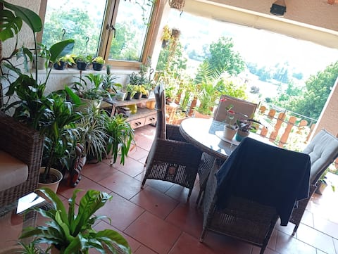 Up to 9 people / 3 guest rooms / Group rate d.a.d. Mosel