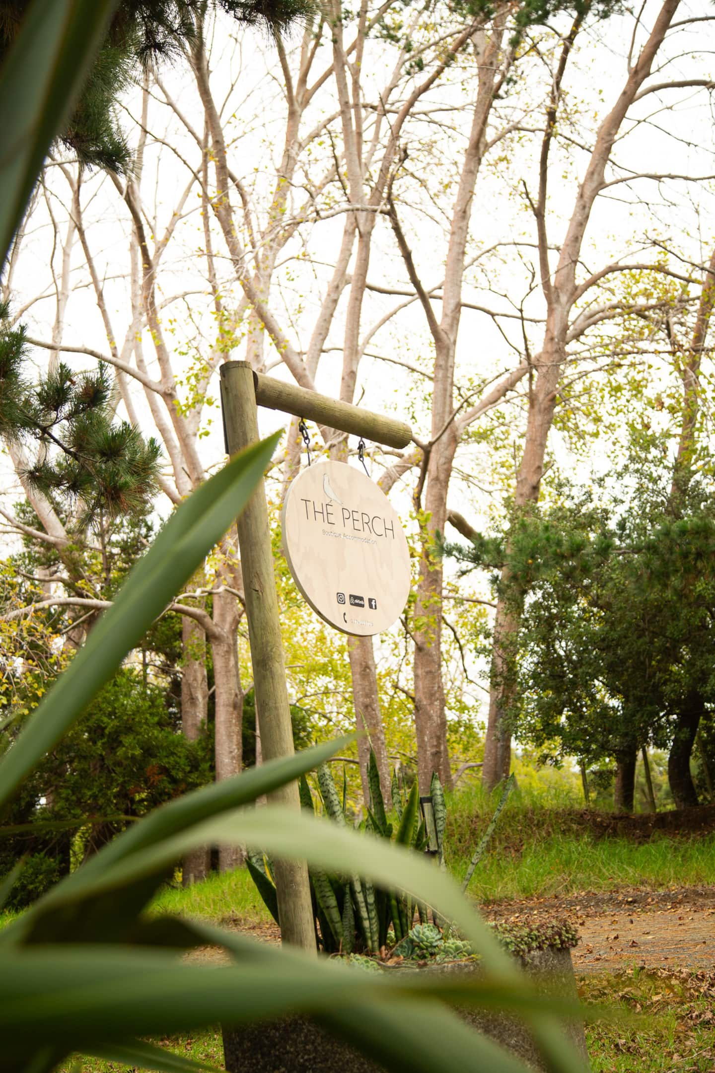 The Perch - Hohoura 2