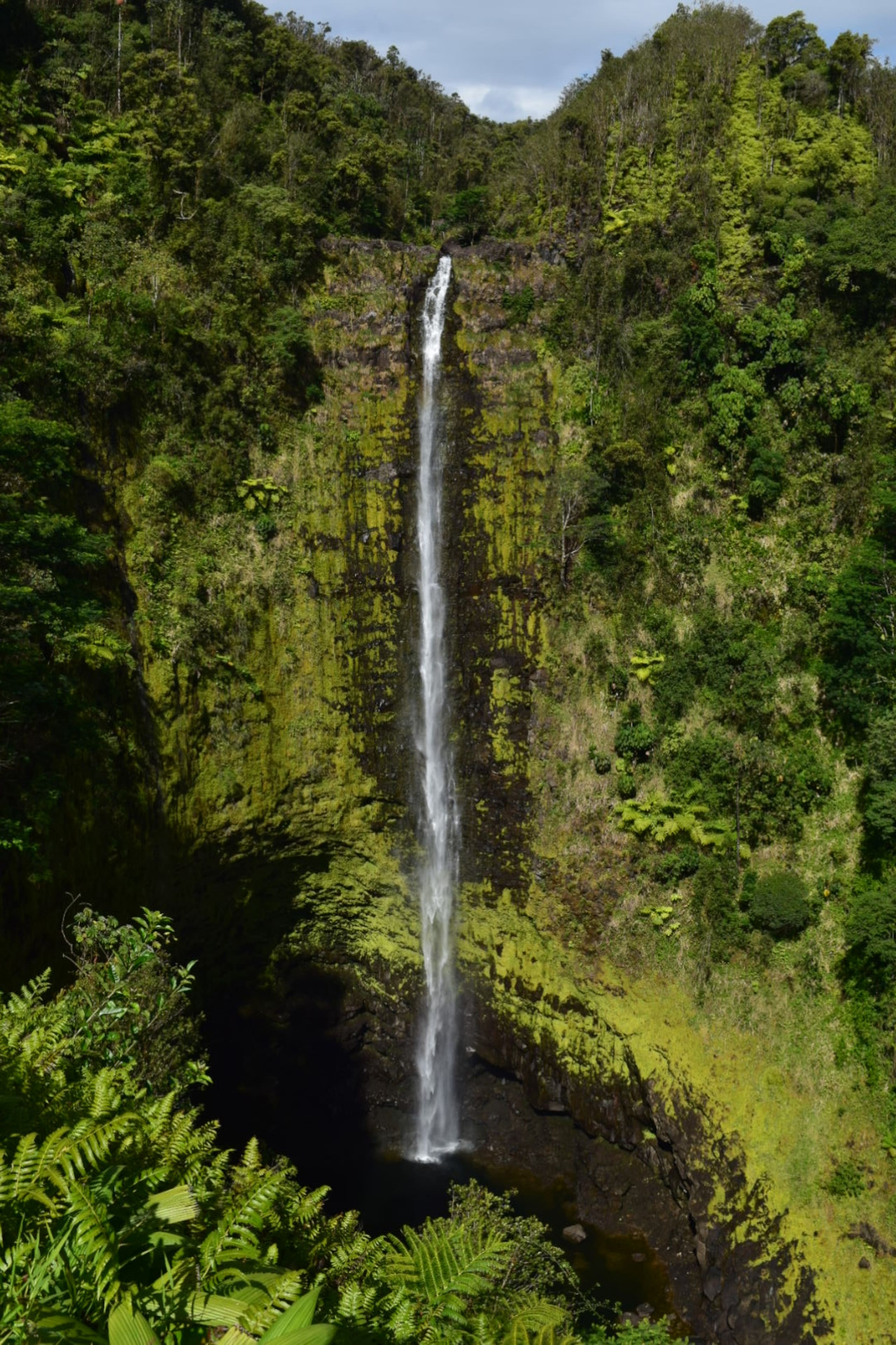 Hakalau Hale - Escape to Paradise - Photo 29
