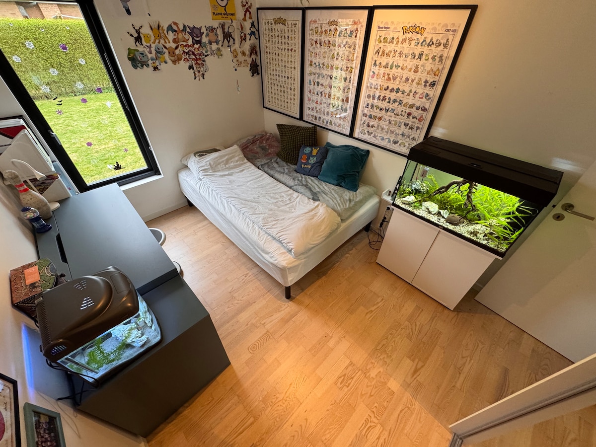 საძინებელი 3