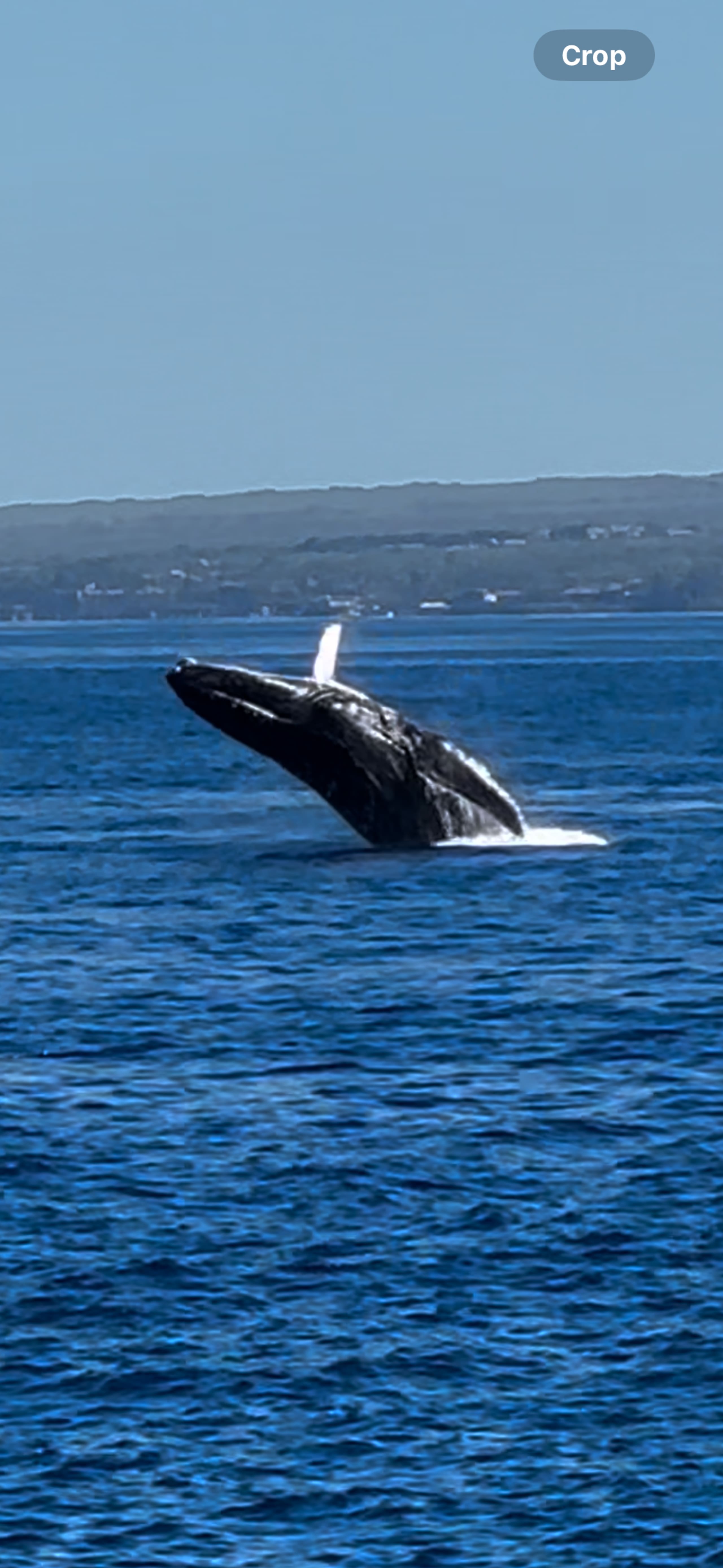 Amazing Views at Paki Maui 226 - Photo 16