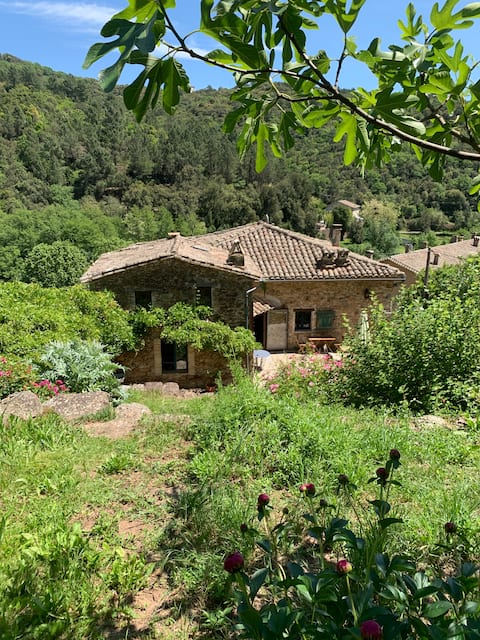 Large house full of character in Cévennes