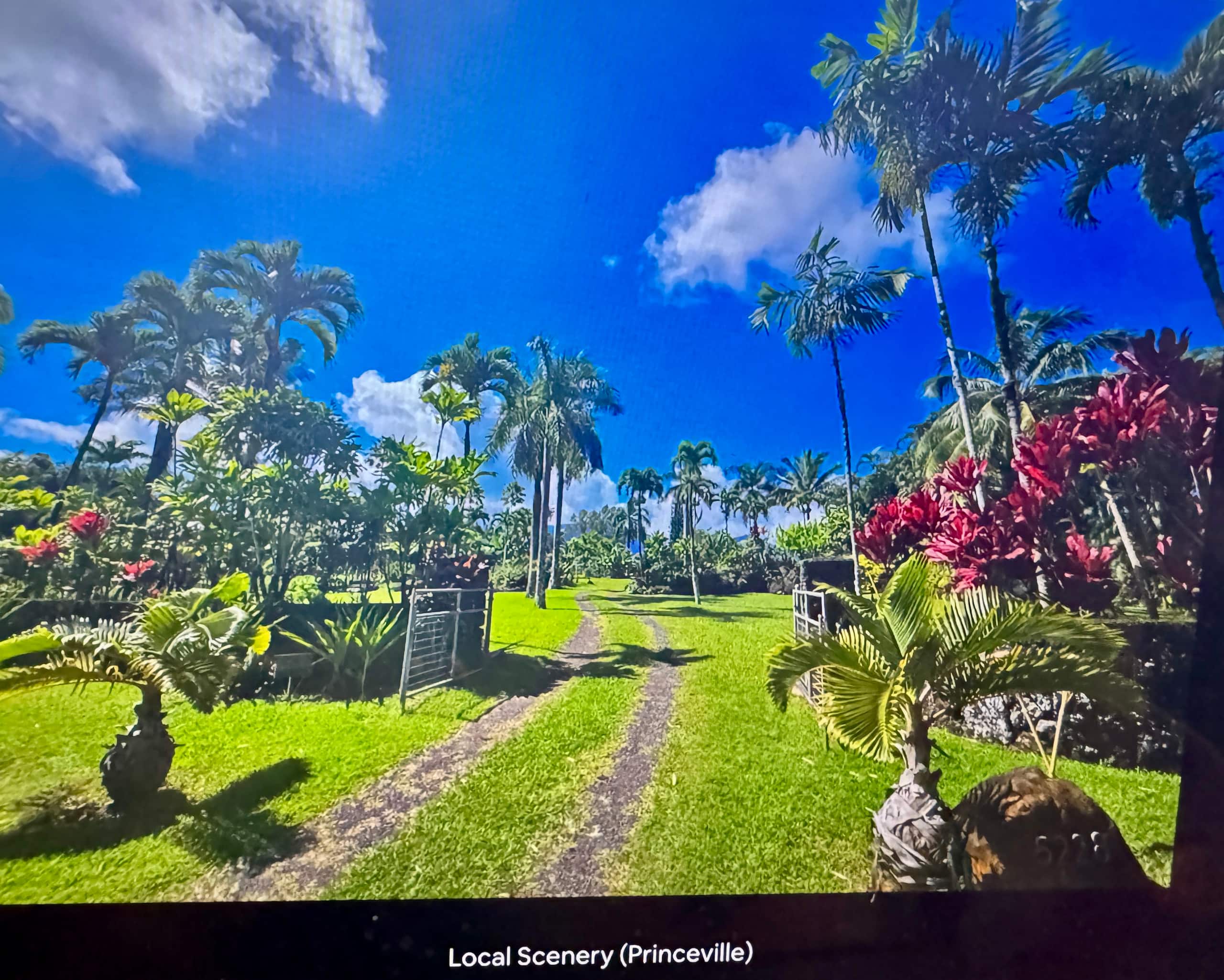 Condo in Princeville · ★4.83 · Studio · 2 beds · 1 private bath - Image 16
