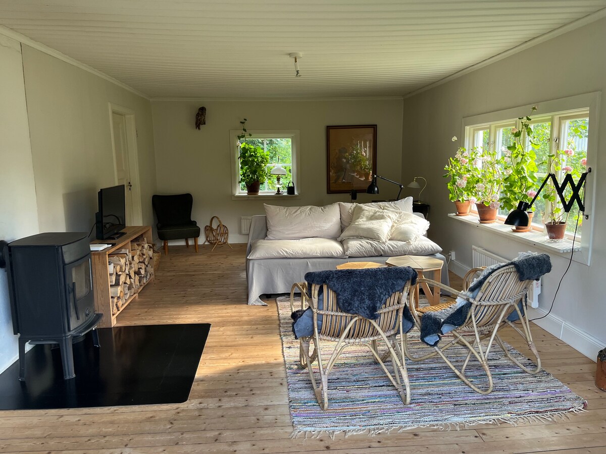 The living room features a large, comfortable sofa adorned with light-colored cushions. A cozy armchair sits nearby, accompanied by a small table. Potted plants are arranged on windowsills, bringing greenery indoors. A wood-burning stove is positioned beside a stack of firewood, with a woven rug underfoot.