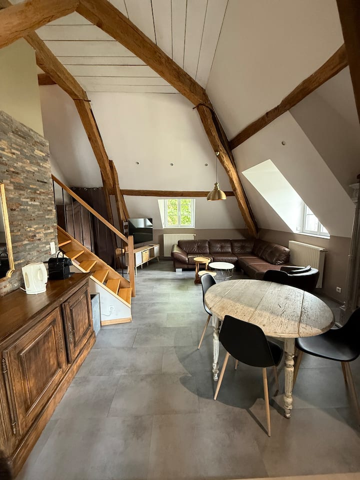 Appartement Centre-ville Avec Terrasse Sur La Loue - Ornans