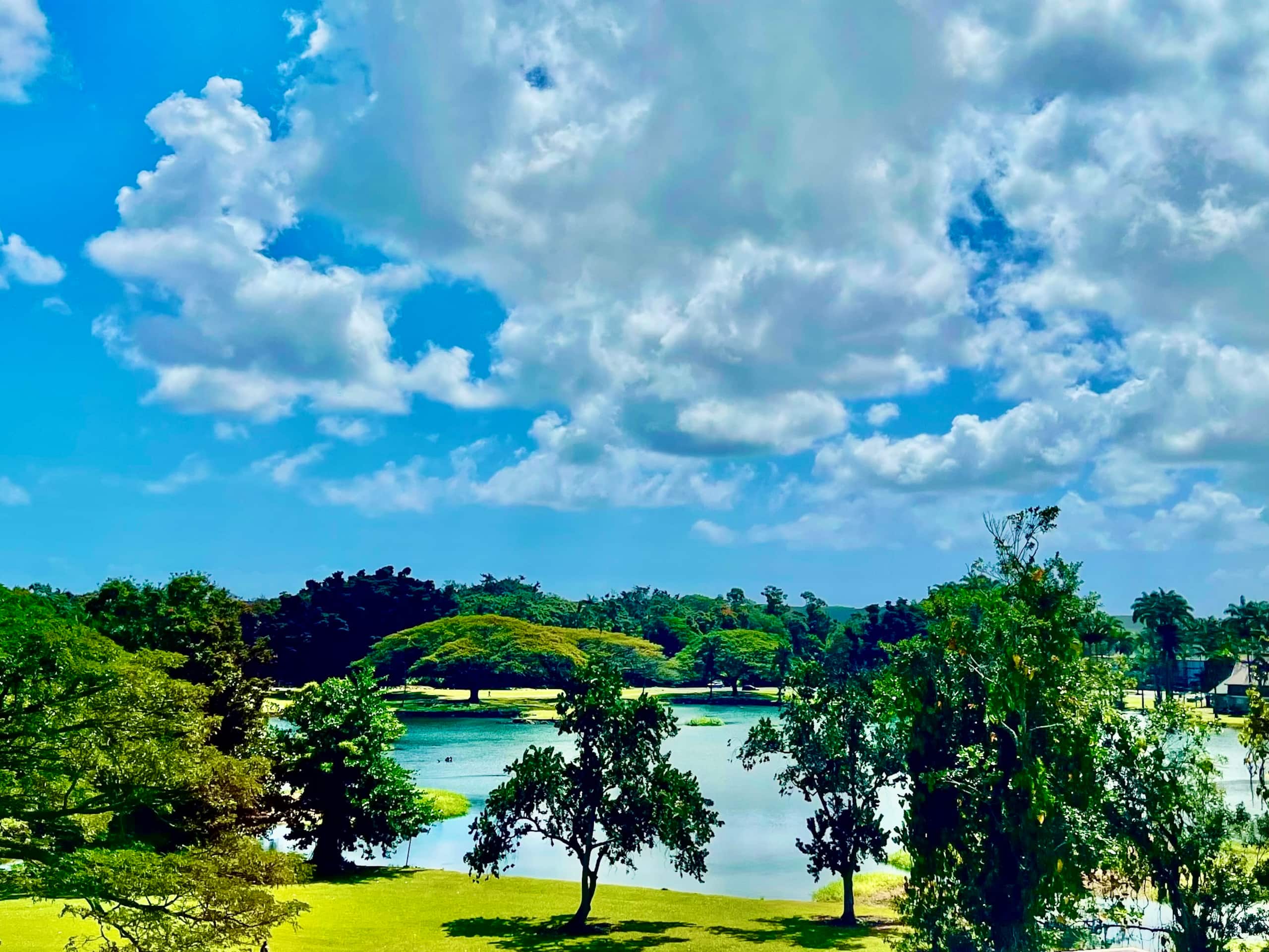 Hilo Haven w/ Pool, A/C & Wi-Fi - Photo 11