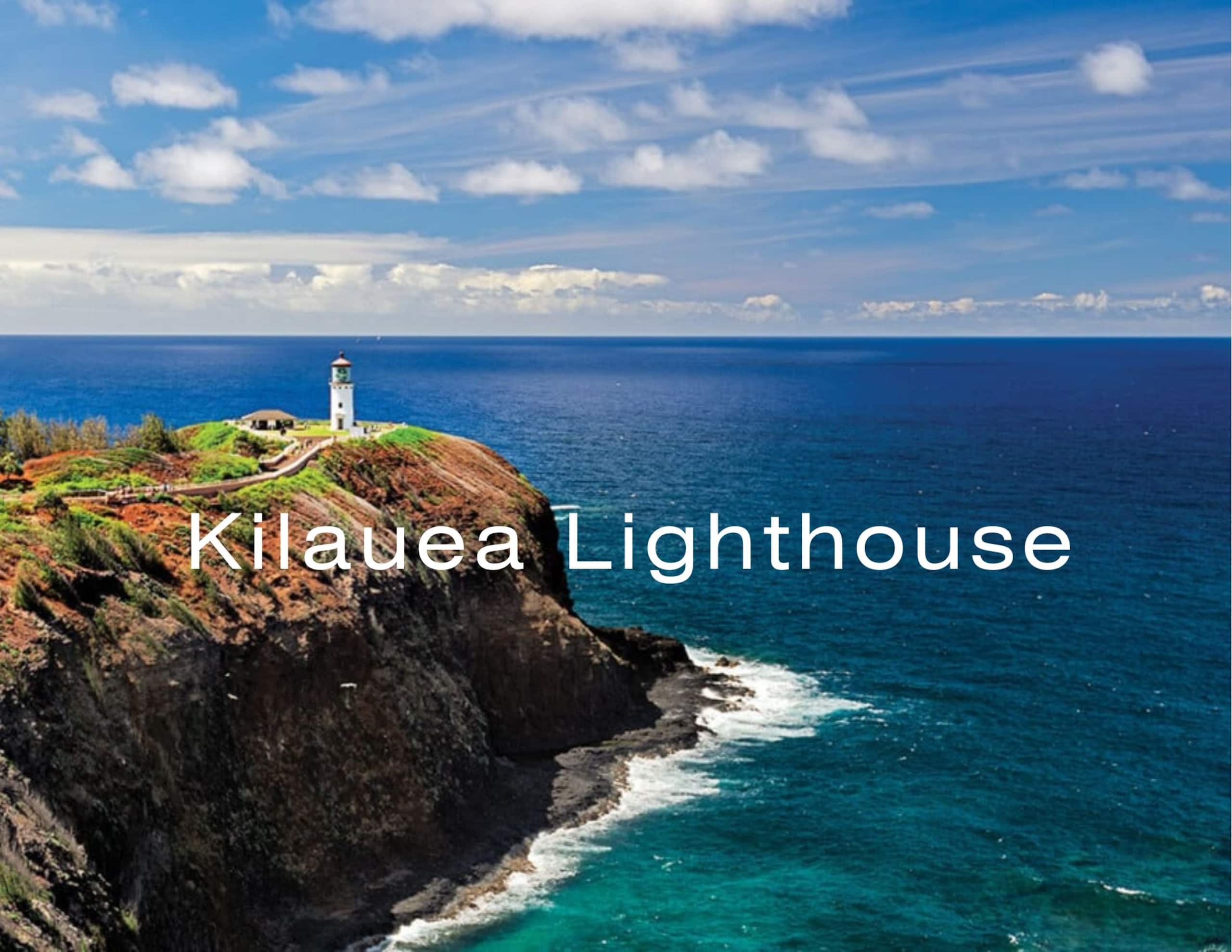 NEW Palm Dreams • Luxe Retreat | AC | Beaches - Image 32