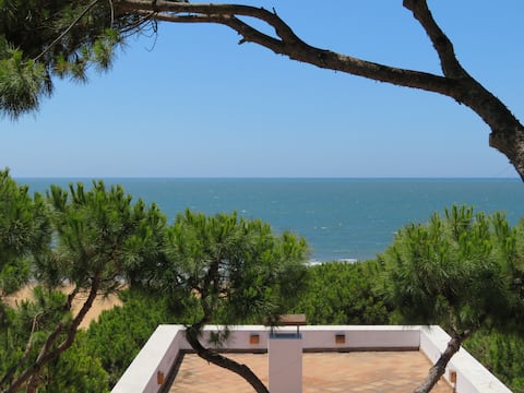 On the beachfront with direct access to the beach.