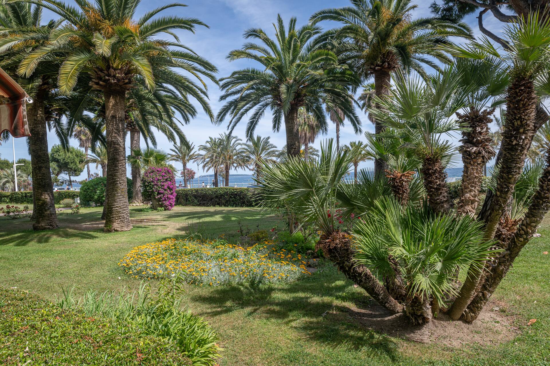 Waterfront Studio, Boulevard du Midi, Terrace, Parking — foto 2