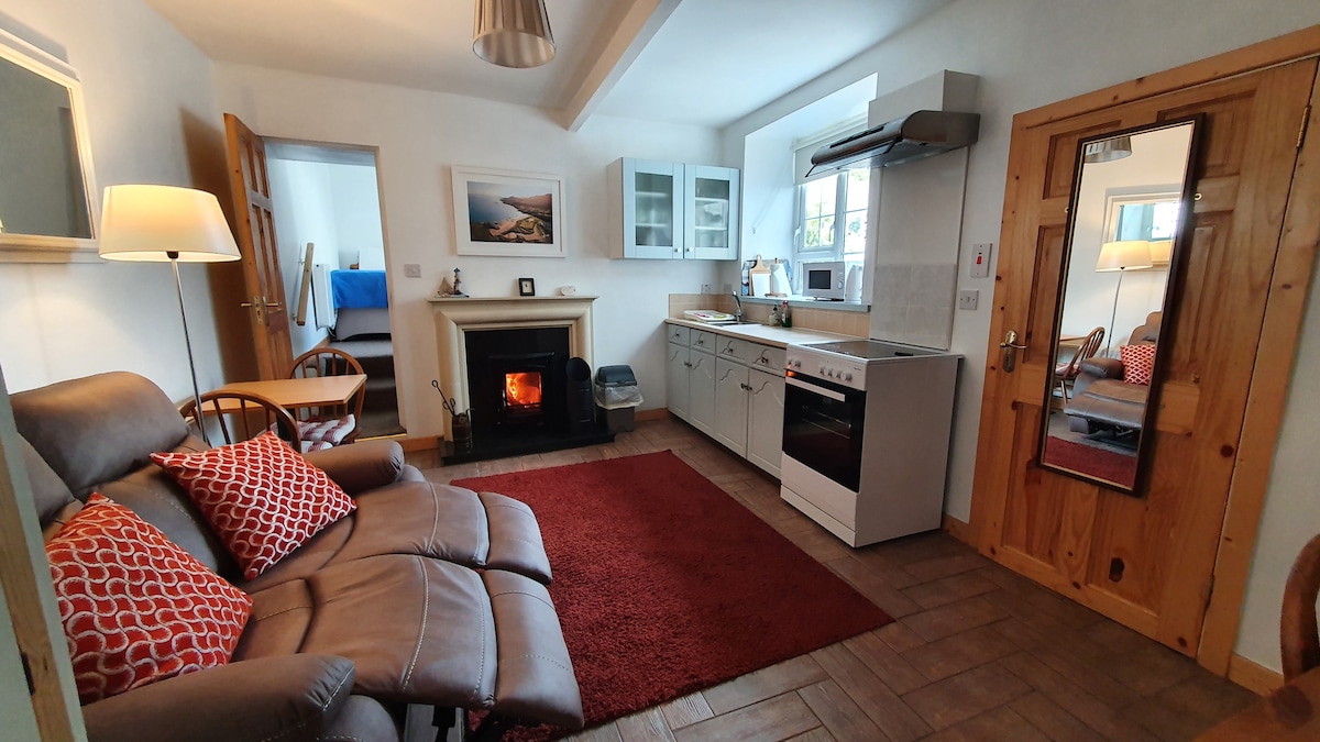 A combined kitchen and living area is featured, showcasing a modern stove and refrigerator. A log-burning fireplace is positioned near a comfortable seating area with plush chairs and a red area rug, enhancing the cozy ambiance. Natural light enters through bright windows.