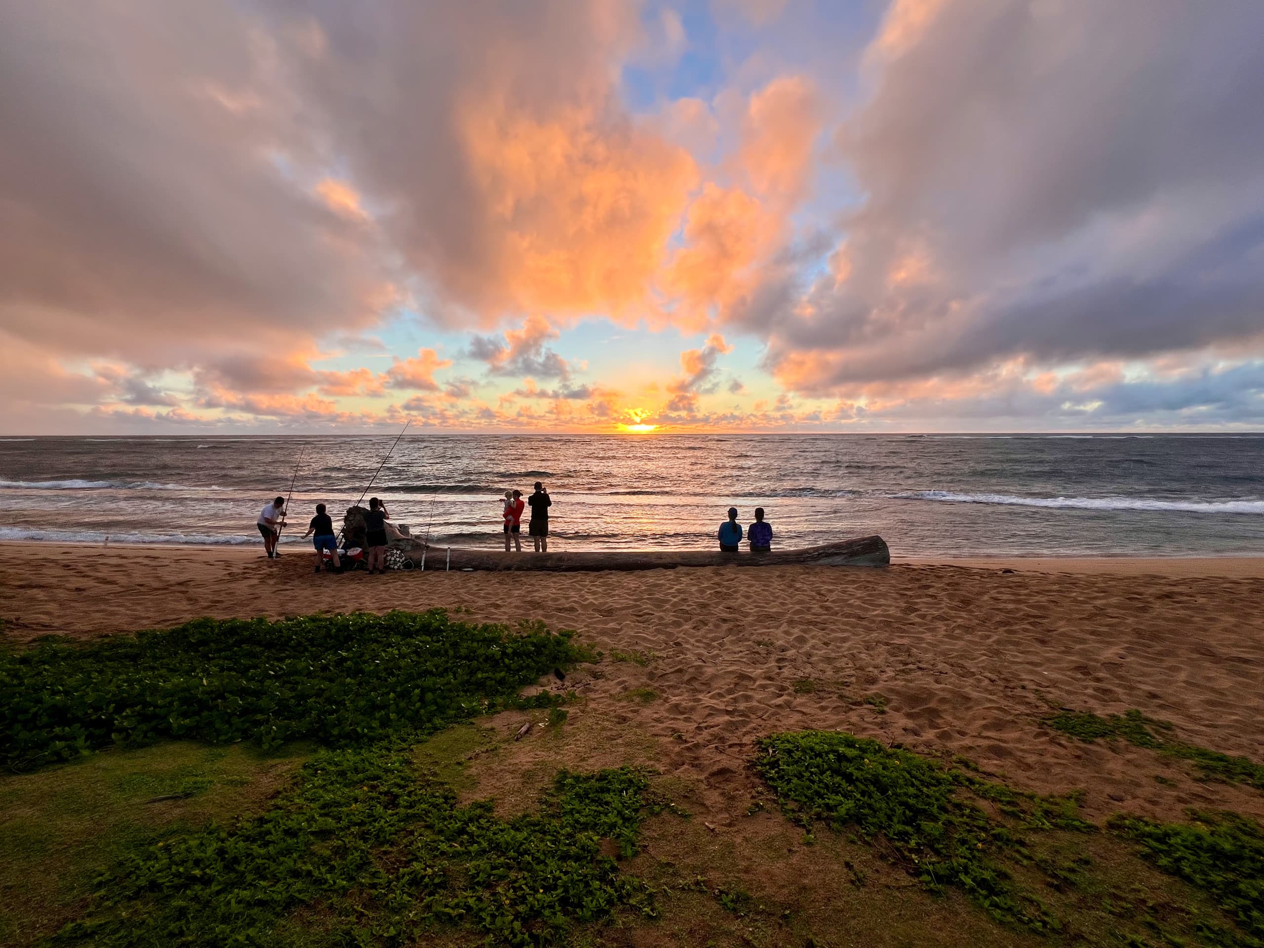 Home in Kapaa · ★5.0 · 2 bedrooms · 4 beds · 2 baths - Image 19