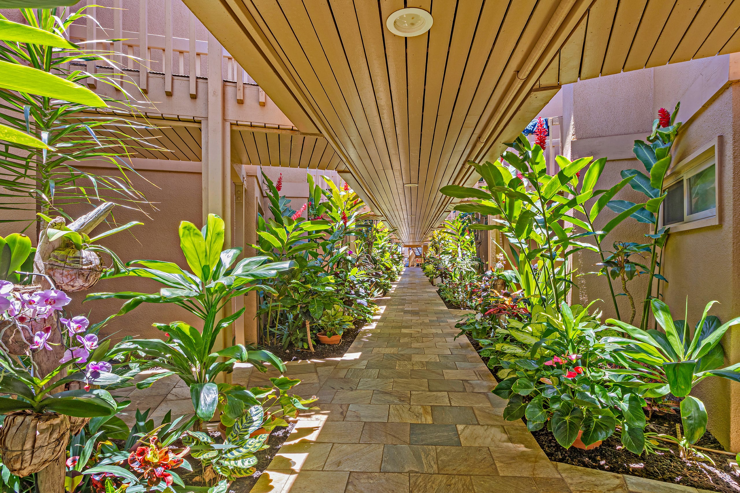 Condo in Kihei · ★4.5 · 3 bedrooms · 5 beds · 2 baths - Image 30