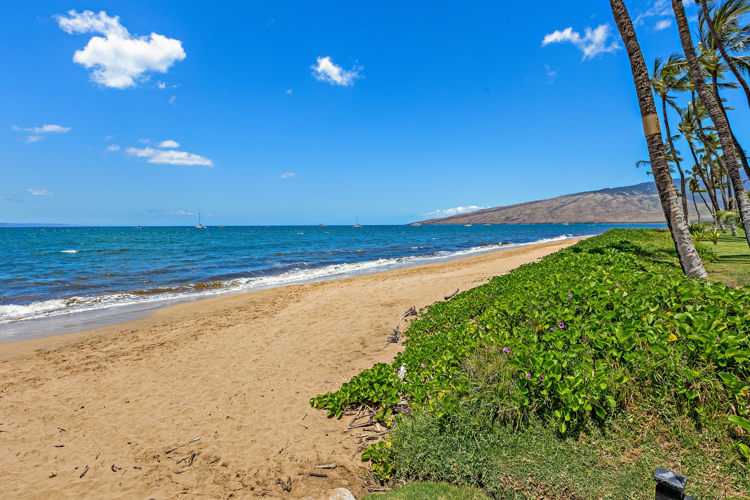 Condo in Kihei · ★4.5 · 3 bedrooms · 5 beds · 2 baths - Image 32