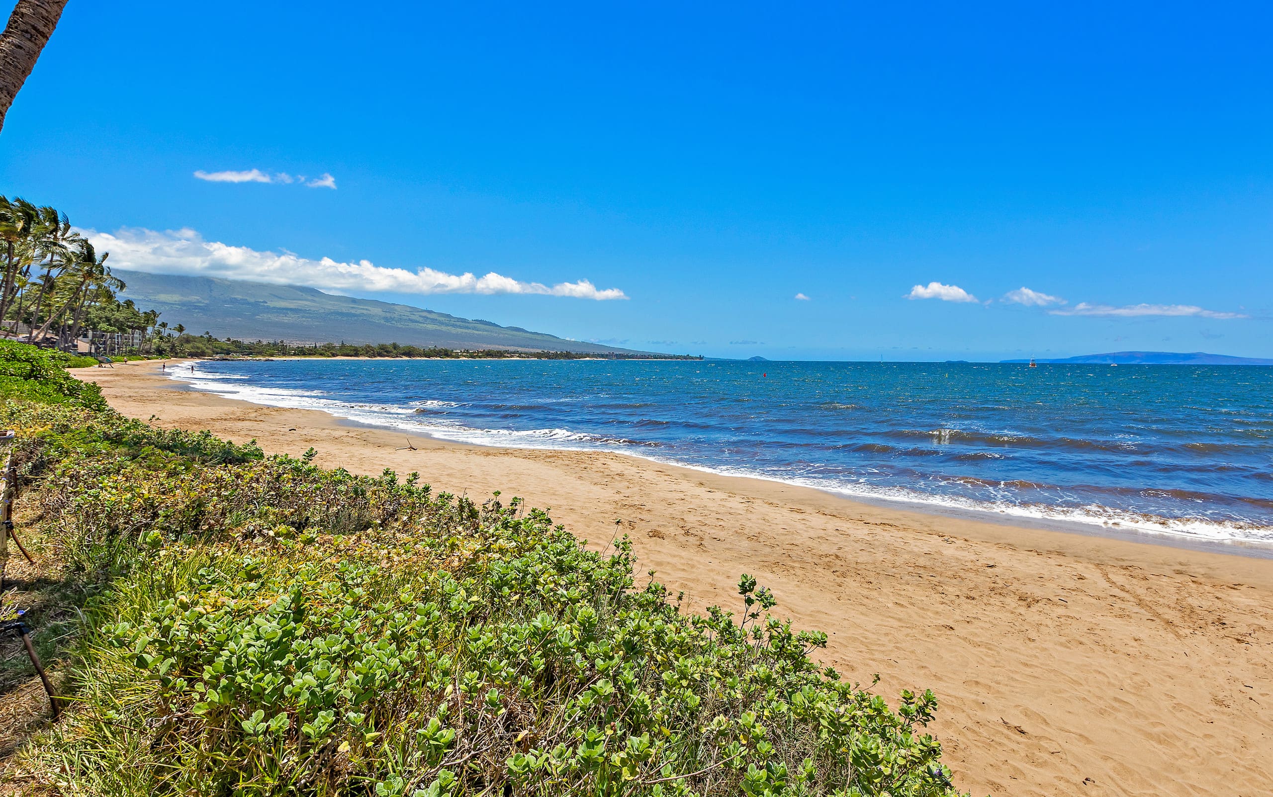 Condo in Kihei · ★4.5 · 3 bedrooms · 5 beds · 2 baths - Image 33