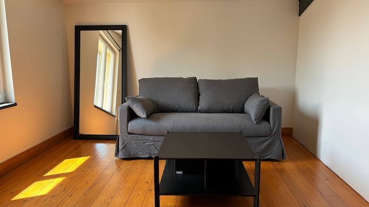 Предлага се разтегателен диван в незаградена зона