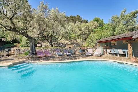 Provencal Charm Les Amandiers Pool & Animals