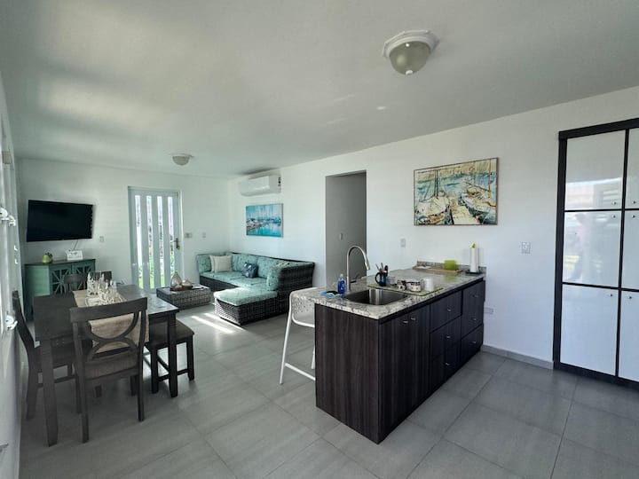 Dnevni, blagovaonski i kuhinjski pult (snimatelj stoji ispred stražnjih vrata na terasi)