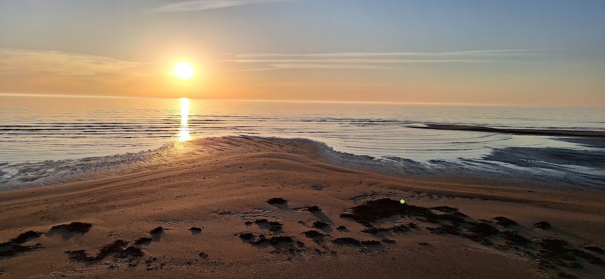 A serene beach at sunrise is depicted, with gentle waves lapping against the sandy shore. The water reflects the warm hues of the rising sun, creating a calm atmosphere. Small patches of seaweed are visible on the sand, adding texture to the landscape.