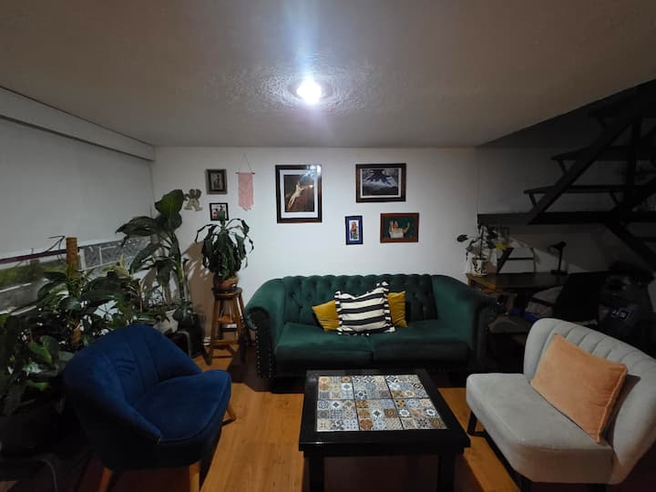 Casita Privada Con Jardín En El Centro De Coyoacán - Mexico State