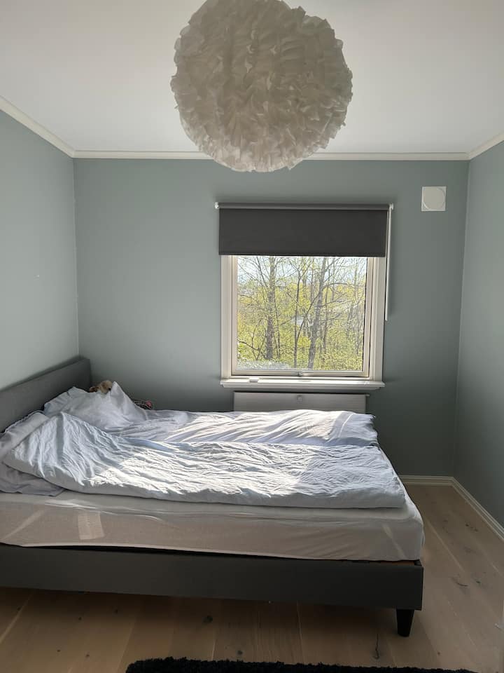 Ორადგილიანი საწოლი დაბლა, კარადით. Ფანჯარა მშვიდი ბაღისა და ტყის პირისპირ