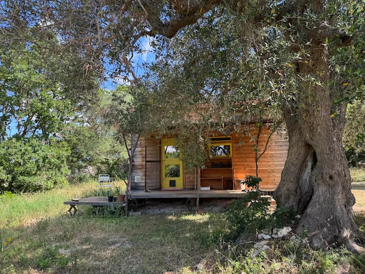 Amatroccola, Tiny House - Ostuni
