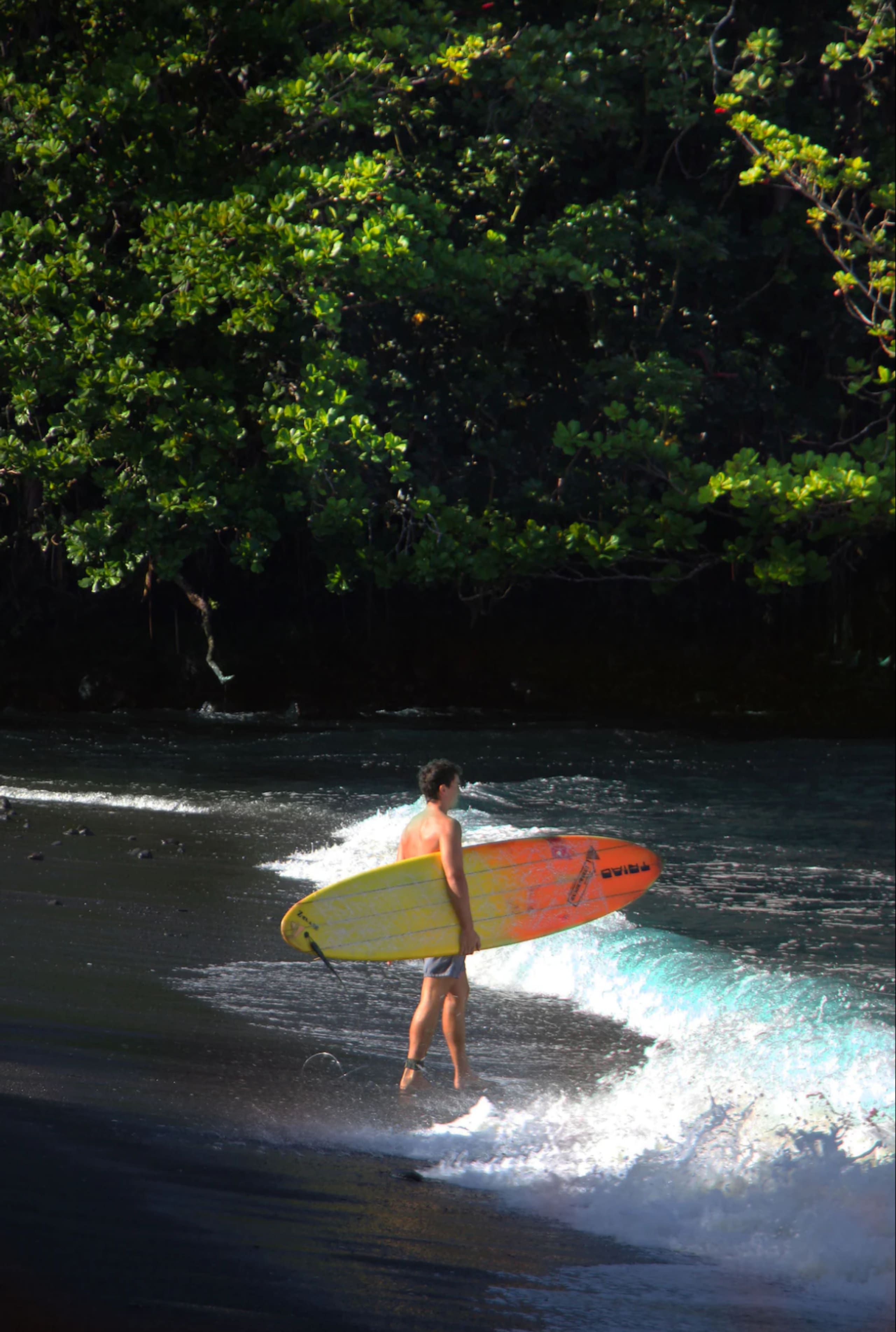 Home in Hilo · ★4.86 · 1 bedroom · 1 bed · 1 private bath - Image 39