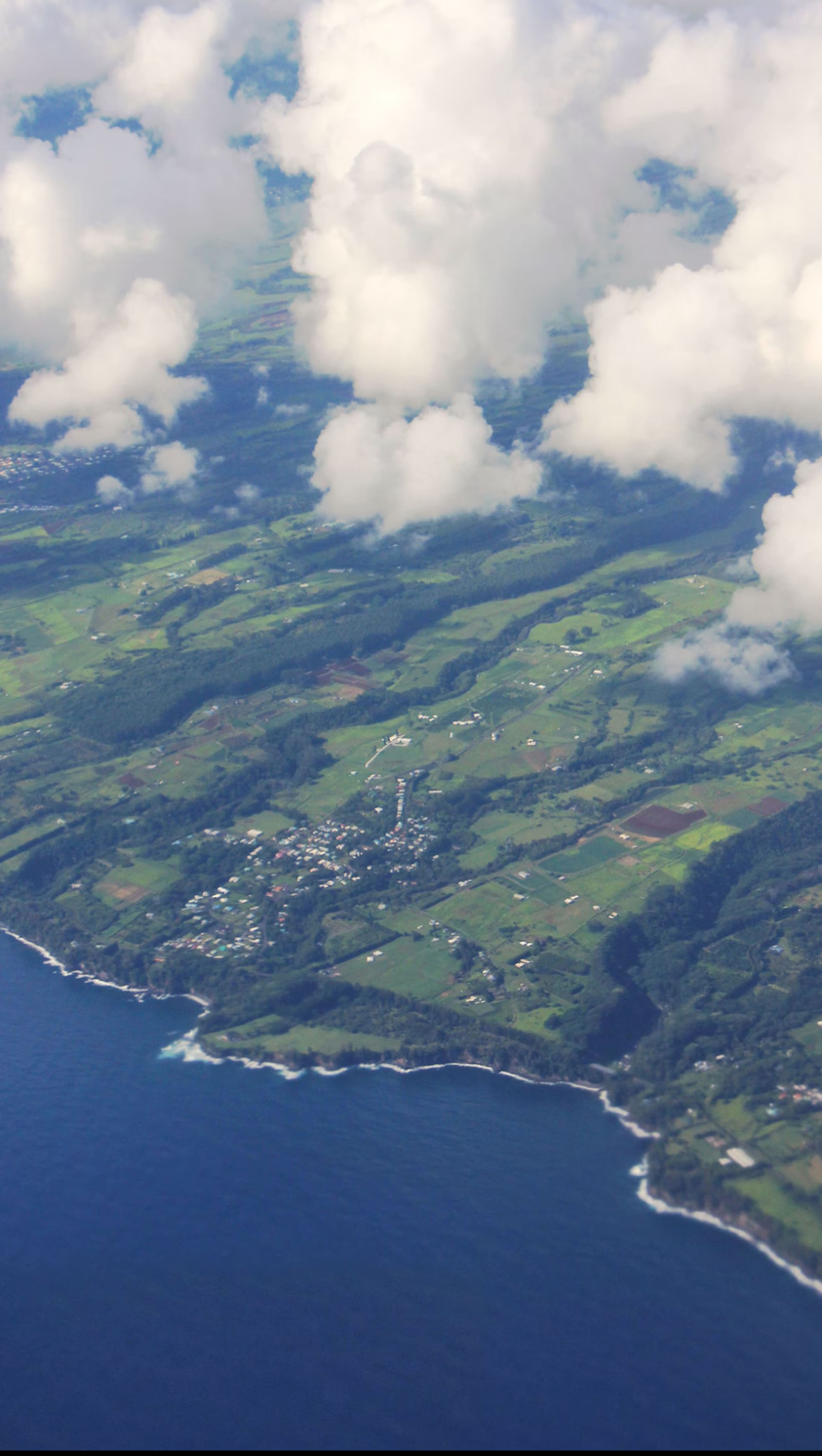 Home in Hilo · ★4.86 · 1 bedroom · 1 bed · 1 private bath - Image 40