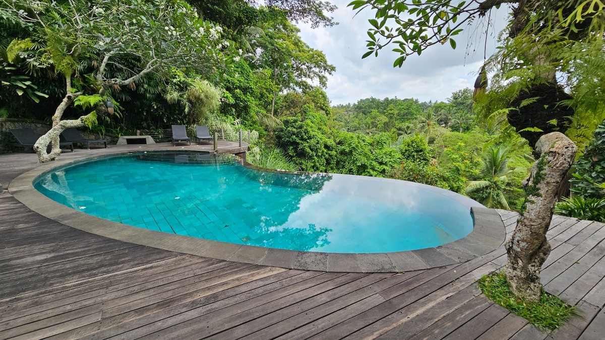 An inviting swimming pool is surrounded by lush greenery, featuring a smooth, curved design. Wooden deck completes the area, creating a serene environment. Lounge chairs are positioned nearby, offering a place to relax and enjoy the tropical landscape.