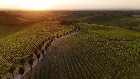 La Meirana - Cottage del Rio