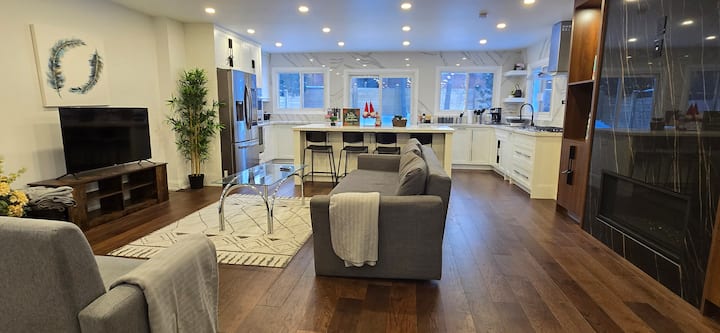 Modern House In Richmond Hill - Richmond Hill