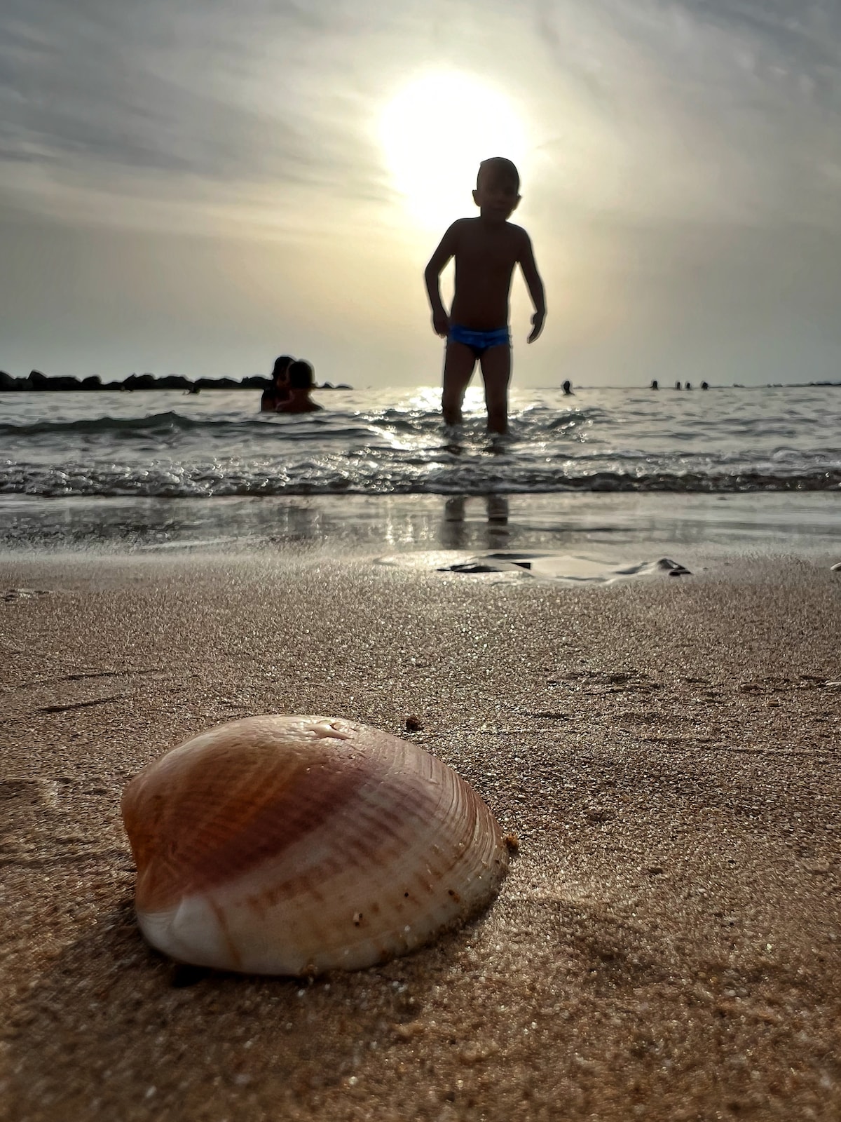 A large seashell rests on the sandy beach, with soft curves and a natural pattern. In the background, a child wades into the gentle waves, silhouetted against a glowing sun. The scene captures the serene ambiance of a beach setting, inviting relaxation.