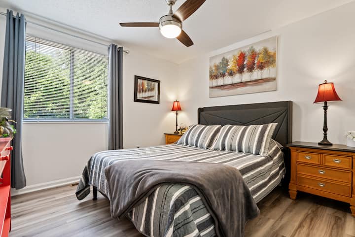 וילונות האפלה וכריות רכות = ארץ החלומות!