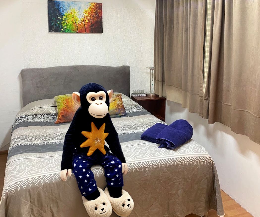 A spacious bed is covered in a patterned gray bedspread, flanked by two colorful decorative pillows. A plush monkey toy is seated on the bed, wearing star-patterned pajama pants. Soft, brown curtains filter natural light, and a towel is neatly folded nearby.