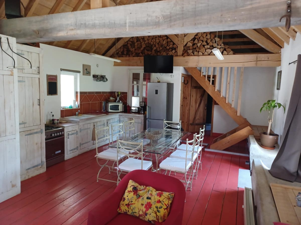 A spacious living area features a wooden beam ceiling and red-painted flooring. A dining table, surrounded by several white metal chairs, is positioned near a modern kitchen equipped with essential appliances. Natural light filters through a window, illuminating the relaxed atmosphere.