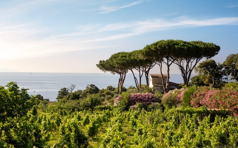 Proprietà Airbnb di successo: Casa Lucertola a Marciana