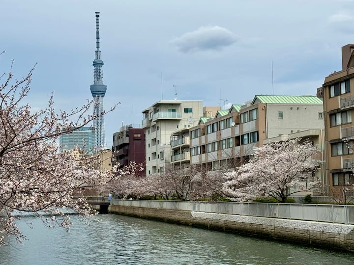 窓「心の旅」 鉄路旅人 on X