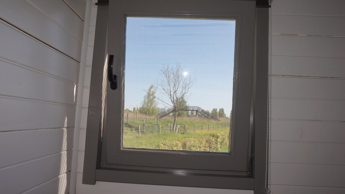 Top Airbnb: Het Schapenlandje in Schagen