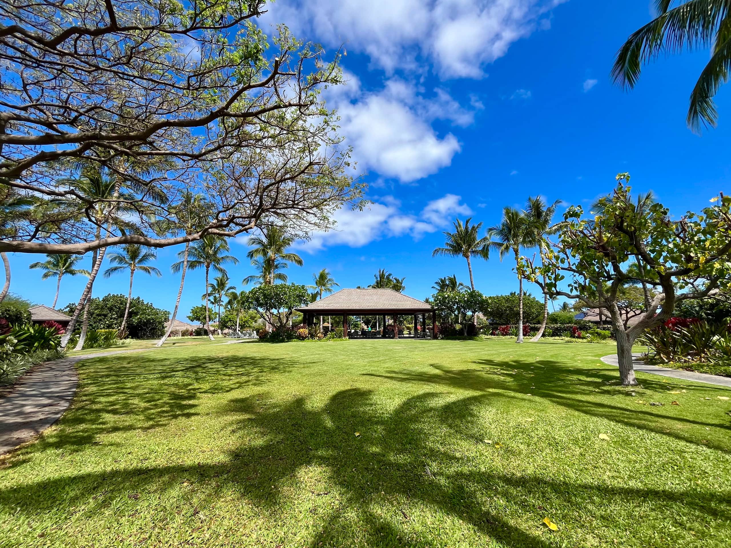 Townhouse in Waimea · ★5.0 · 2 bedrooms · 2 beds · 2 baths - Image 32