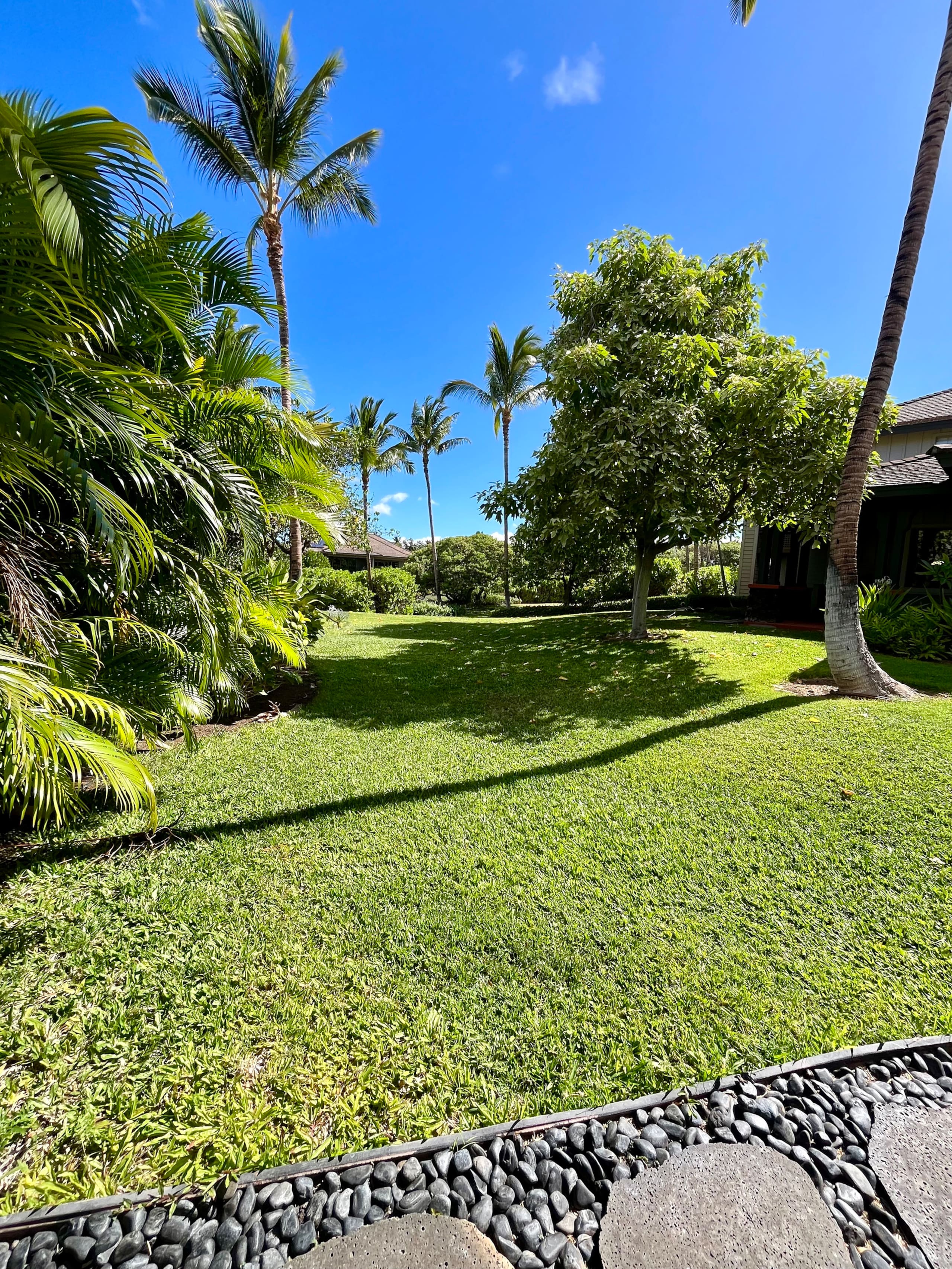 Townhouse in Waimea · ★5.0 · 2 bedrooms · 2 beds · 2 baths - Image 21