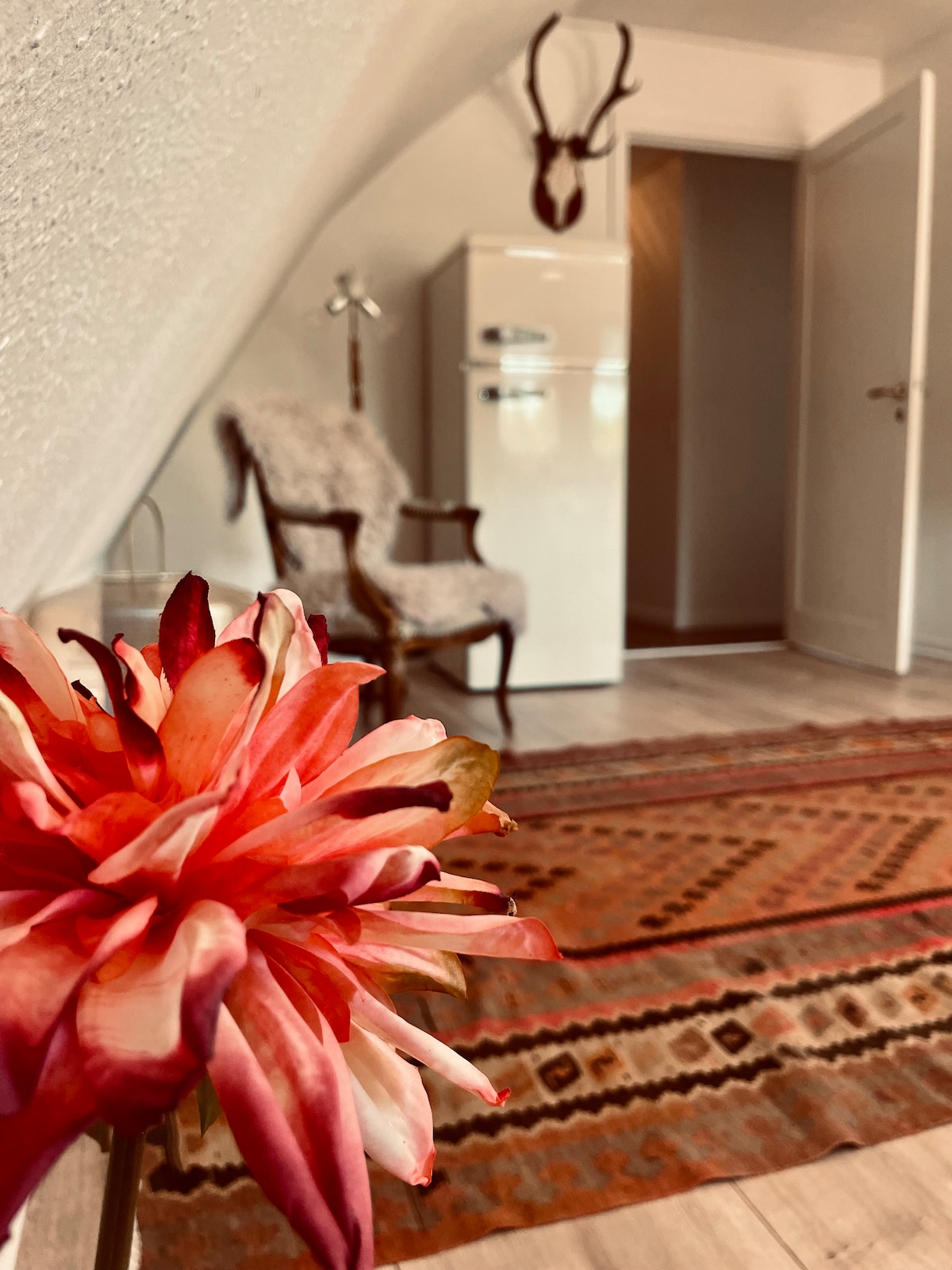 A vibrant flower in shades of pink sits in the foreground, complementing the muted tones of a patterned rug. In the background, a retro refrigerator and a vintage armchair can be seen, with light illuminating the space through an open door.