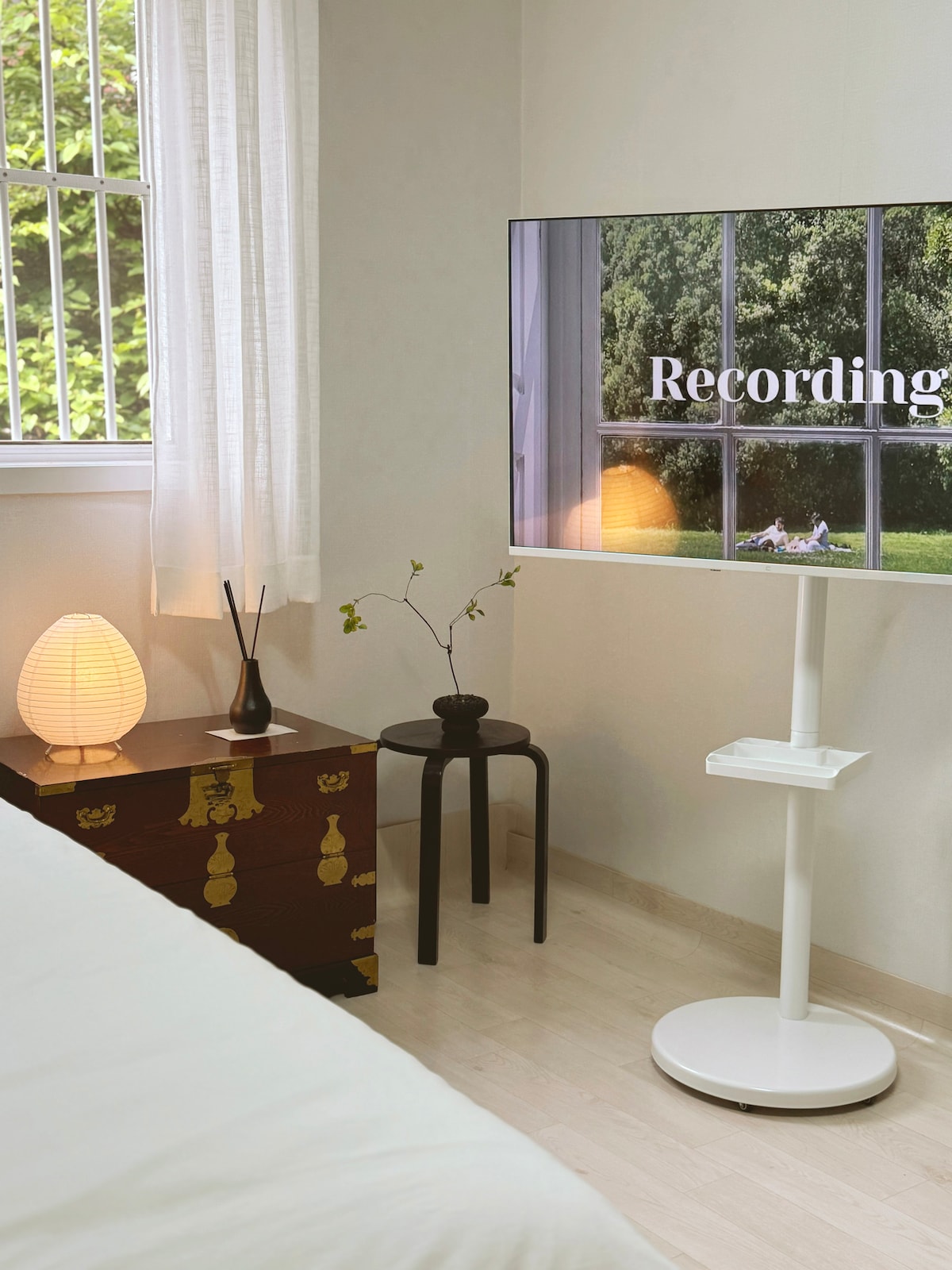 A modern room features a mobile smart TV on a stand, displaying a nature scene. Beside the TV, a small round table holds a decorative plant and an elegant lamp. Natural light filters through the nearby window, illuminating the light-colored walls and floor.