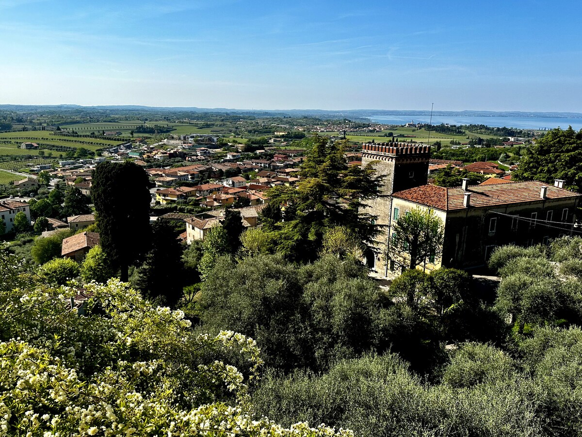 A panoramic view of the surrounding countryside is presented, showcasing rolling hills, vineyards, and a serene lake in the distance. The image captures a mix of residential rooftops and lush greenery, with the architectural details of a historic building in the foreground.