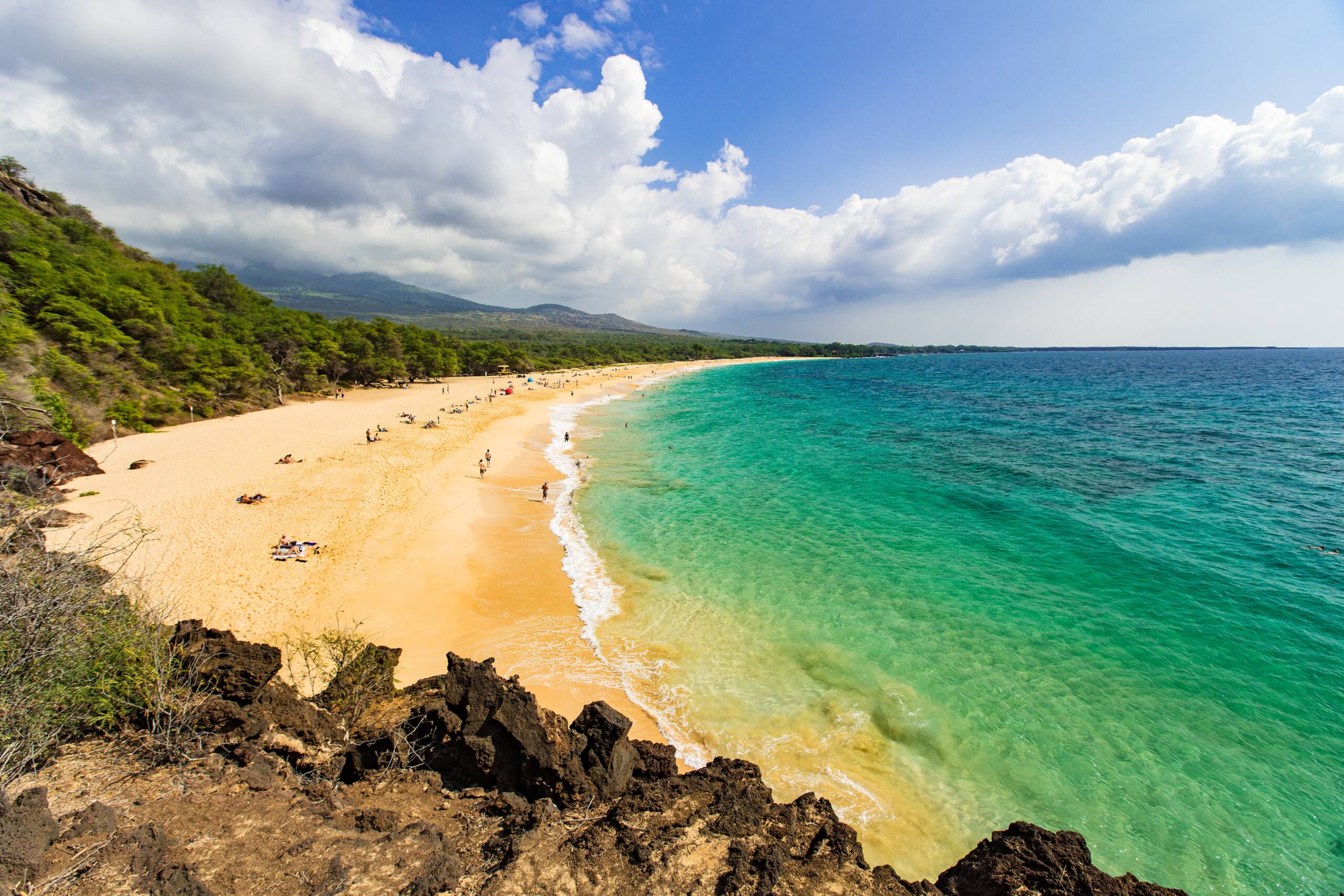 Condo in Kihei · ★5.0 · 1 bedroom · 2 beds · 2 baths - Image 78